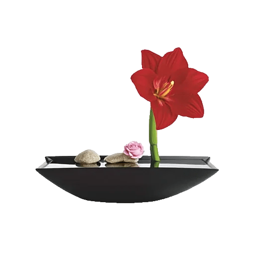 Crimson Blossom Harmony