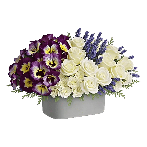 Delicate Petal Cascade