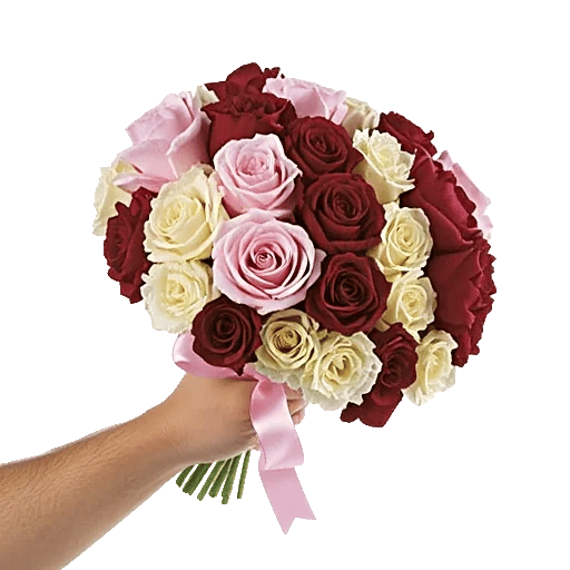 Peony Petal Harmony