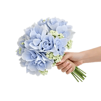 Serene Petal Harmony