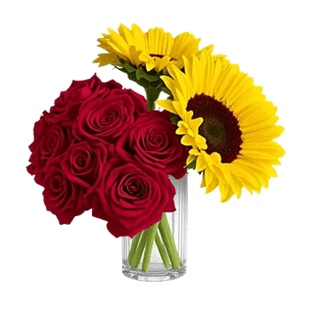 Radiant Bloom Cascade