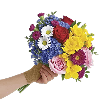 Blossom Harmony Display