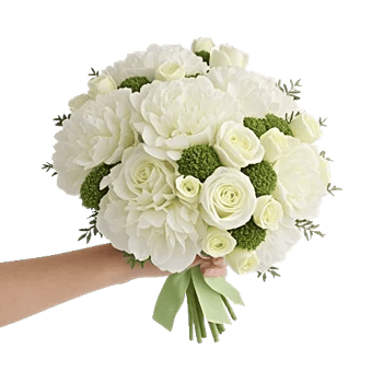 Ivory Blossom Radiance