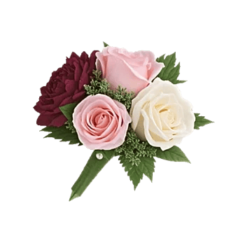 Delicate Petal Cascade