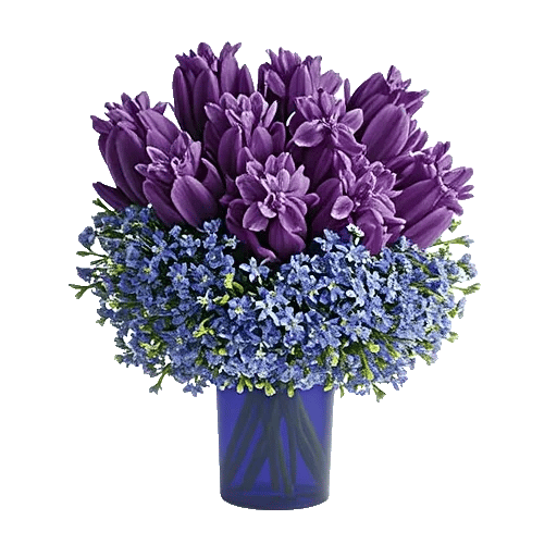 Ivory Blossom Radiance