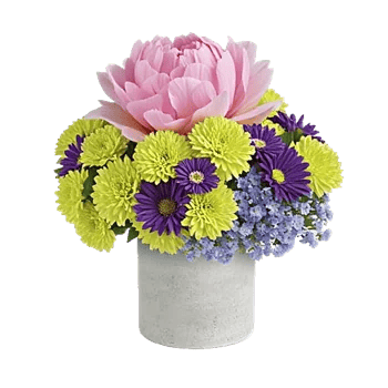 Petal Radiance Bliss
