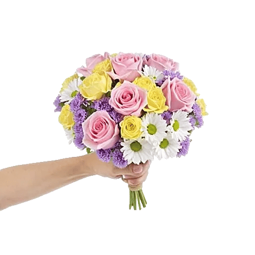 Blushing Rose Symphony