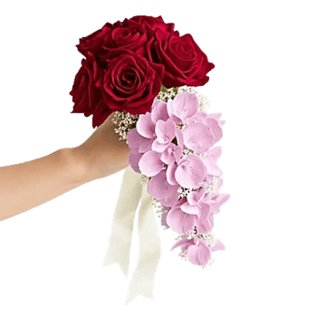 Delicate Petal Cascade