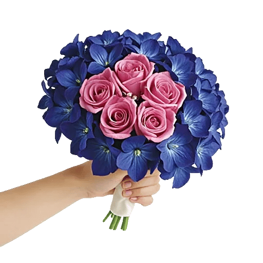 Blossom Petal Serenity