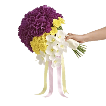 Orchid Bloom Cascade