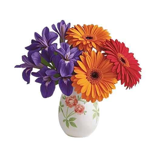 Ivory Blossom Radiance