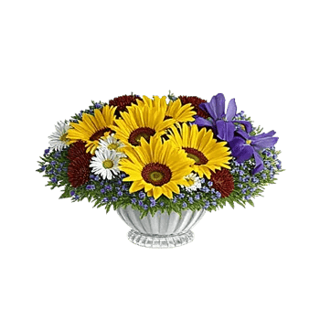 Radiant Bloom Cascade