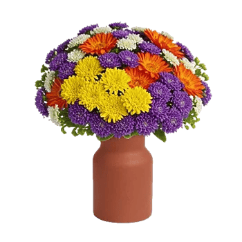 Elegant Calla Lilies