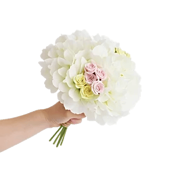 Serene Petal Harmony