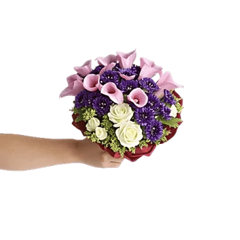 Elegant Calla Lilies