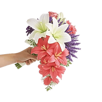 Delicate Petal Cascade