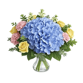 Sapphire Bloom Whisper