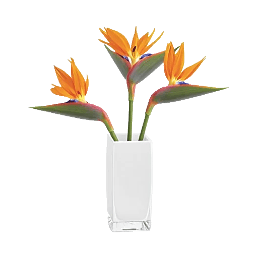 Orchid Bloom Cascade
