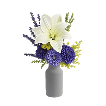 Ivory Blossom Radiance