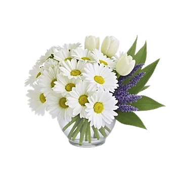 Delicate Petal Cascade