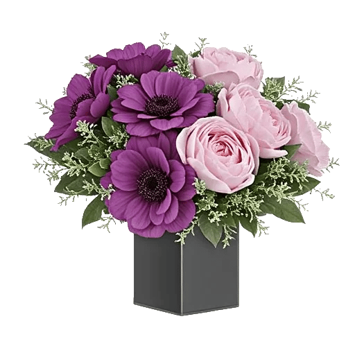 Petal Radiance Bliss