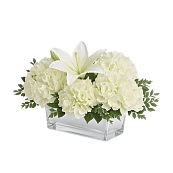 Serene Lily Cascade