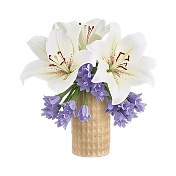 Graceful Lily Display