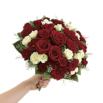 Blushing Rose Symphony