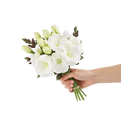 Graceful Lily Display