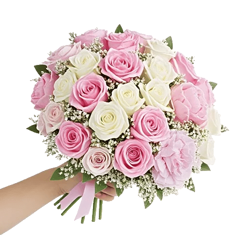 Pastel Pink Roses