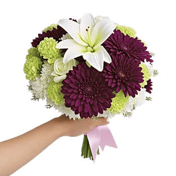 Blossom Harmony Display