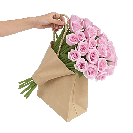 Pastel Pink Roses