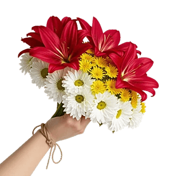 Graceful Lily Display