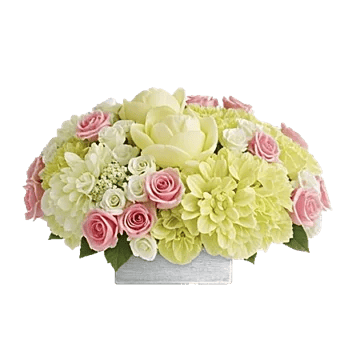 Delicate Petal Cascade