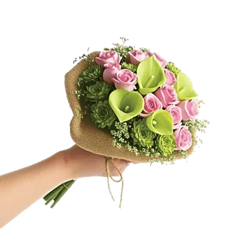 Elegant Calla Lilies