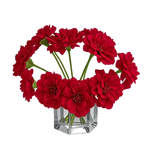 Petal Radiance Bliss