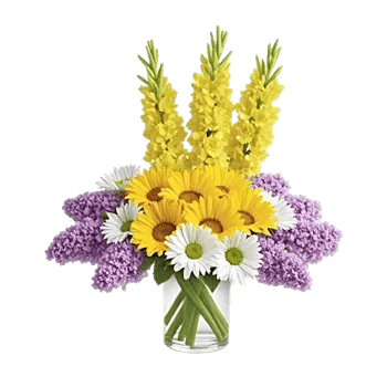 Bright Cheerful Sunflowers