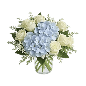 Serene Petal Harmony