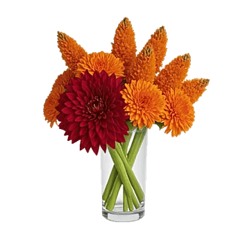 Crimson Blossom Harmony