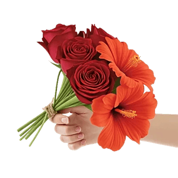 Crimson Rose Elegance