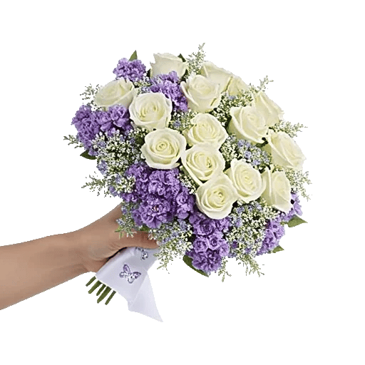 Blossom Radiant Whisper