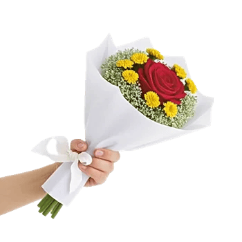 Crimson Rose Elegance