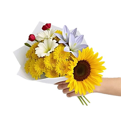 Blossom Petal Serenity