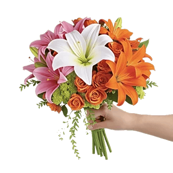 Ivory Blossom Radiance