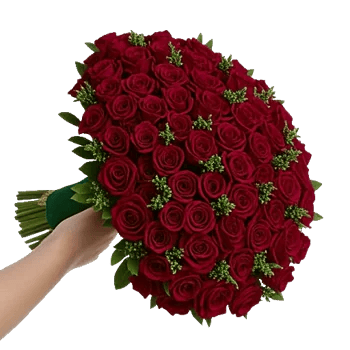 Crimson Rose Elegance