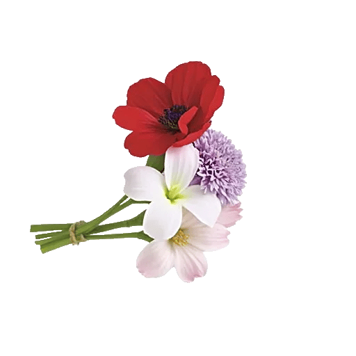 Ivory Blossom Radiance