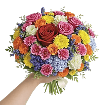 Glistening Rose Garden