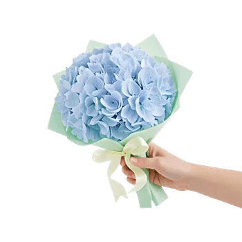 Sapphire Bloom Whisper