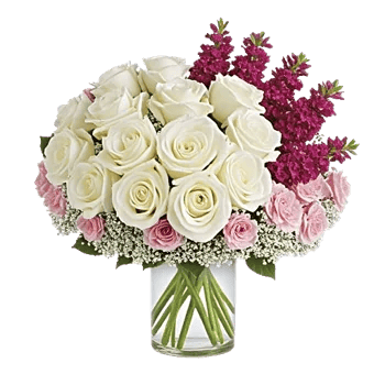 Ivory Blossom Radiance