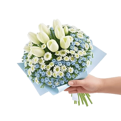 Serene Petal Harmony